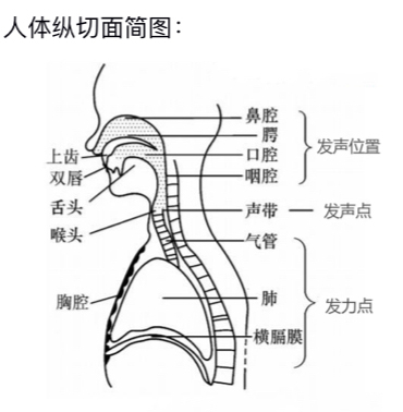 梁氏声乐教学法